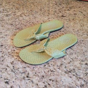 Chico's Isola Croco Green Crocodile Print Sandals Flip Flops NWT